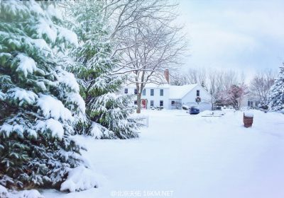 Snow Covered House and Trees
