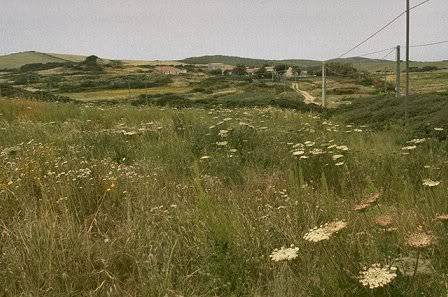 4286159_orig