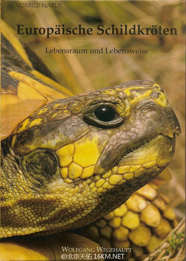 新书介绍：欧洲乌龟的生活空间和生活方式