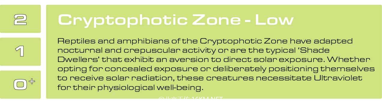 Cryptophotic-Zone-1 Cryptophotic-Zone-1