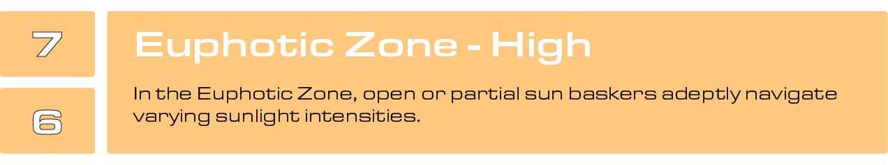 Euphotic-Zone Euphotic-Zone