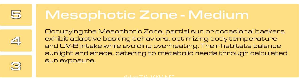 Mesophotic-Zone-1 Mesophotic-Zone-1