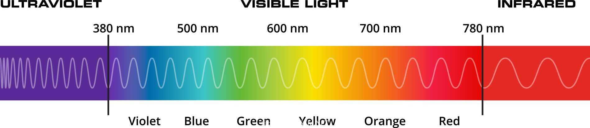 Visible_Light-1 Visible_Light-1